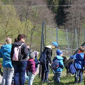 Wanderung