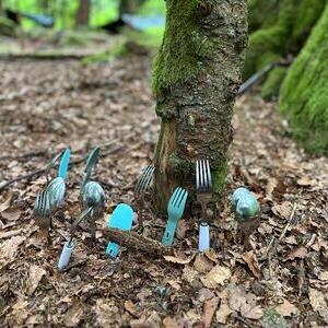 WaldWE