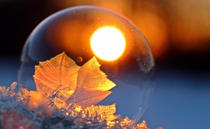 Im Licht Gottes gehen: Advent