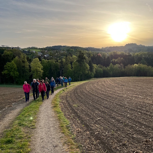 Wanderer und Sonnenaufgang