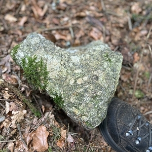 WaldWE