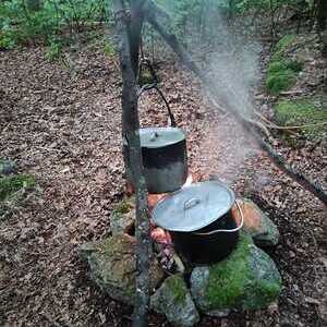 WaldWE