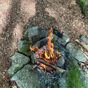 WaldWE