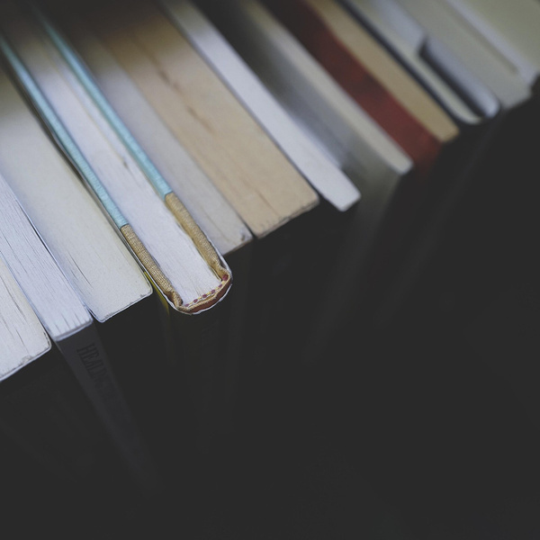 Literaturtipps / © Pexels/pixabay.com/Pixabay License Bücher