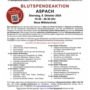 08.10.2024