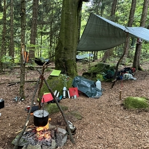 WaldWE